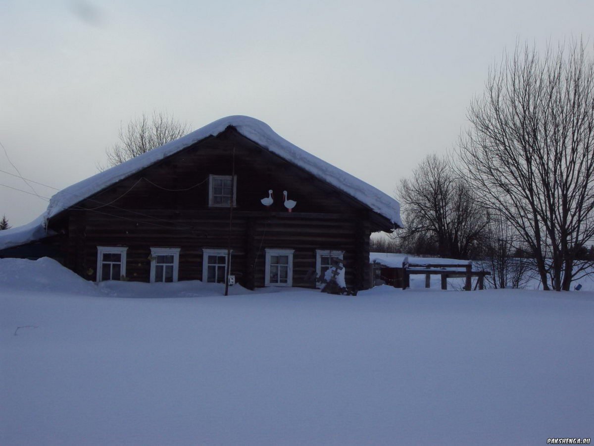 image555555555555555_ 